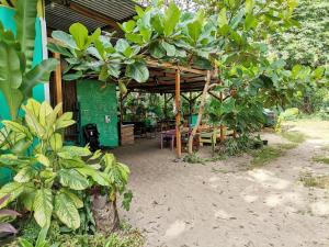Zahrada ubytování Oasis Beachfront Hostel