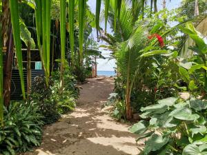 un camino a través de un jardín con la playa en el fondo en Oasis Beachfront Hostel, en Puerto Limón