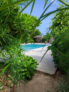 SECRET PLACE HOTEL by HELLO TANZANIA TOURS& SAFARIS في Makunduchi: مسبح في منتجع فيه نباتات خضراء
