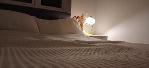 Foto sihtkohas Newport asuva majutusasutuse Greengage House galeriist +9 fotot