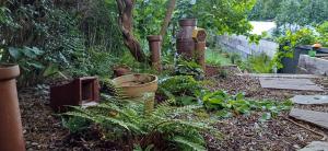 Foto sihtkohas Newport asuva majutusasutuse Greengage House galeriist