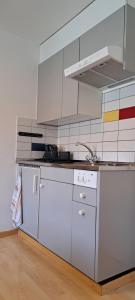 Kuchyň nebo kuchyňský kout v ubytování Grünes 1-Zimmer-Appartement
