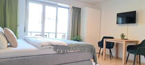 TV a/nebo společenská místnost v ubytování Grünes 1-Zimmer-Appartement