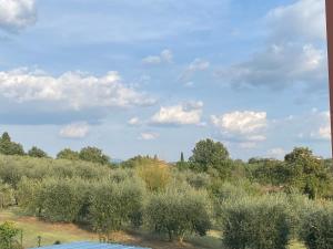 uma vista para um campo com árvores e arbustos em La Casa dell'Artista em Battifolle