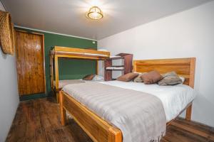 a bedroom with two bunk beds and green walls at Veragua Rainforest in Puerto Limón