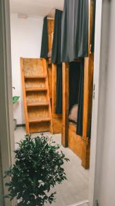 a room with a bed and a potted plant at Hilda House Hostel in Mar del Plata