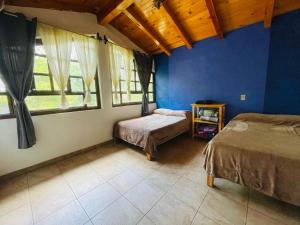 a bedroom with two beds and blue walls and windows at Cabaña en bosque de Mazamitla,Jalisco in Mazamitla