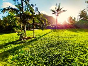 a grassy field with palm trees in the sunset at TAHITI - Haumaru Beach Fare in Mahina