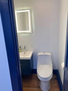 een badkamer met een wit toilet en een wastafel bij Large West End Penthouse walk to Old Port w/Parking in Portland