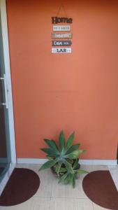 a plant in front of a orange wall with two mats at Guest House Flor de Laranjeira in São Pedro da Aldeia