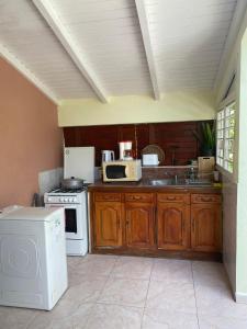 cocina con fogones, fregadero y microondas en Cocon Tropical en Vieux-Habitants