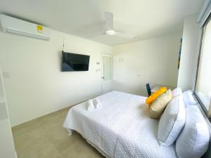 TV a/nebo společenská místnost v ubytování Magico Apartaestudio con Piscina 1 Habitacion PR56A