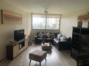 a living room with a couch and a tv at Relajante y Confortable Departamento Frente al Mar in Viña del Mar