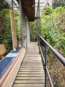 Κήπος έξω από το Kalas Cabañas