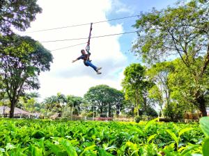 Kebun Teh Wonosari Rollaas Hotel & Resort外面的花园