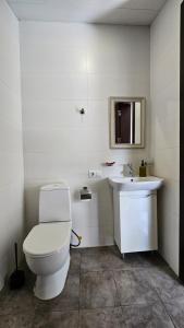 a white bathroom with a toilet and a sink at Apartment Studio Loft Ekaterina in Tbilisi City