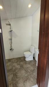 a white bathroom with a toilet and a shower at Apartment Studio Loft Ekaterina in Tbilisi City