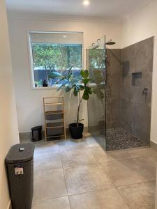 a bathroom with a shower and a potted plant at Casa de Palmas Noosa in Noosaville