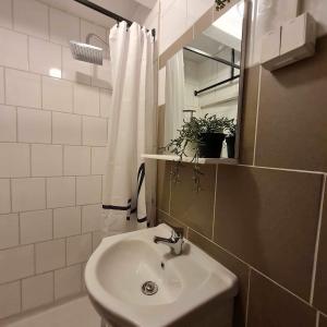 a bathroom with a sink and a shower curtain at Liebevoll renoviertes Ferienhaus im schwedischen Lappland 