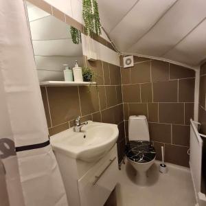 a small bathroom with a sink and a toilet at Liebevoll renoviertes Ferienhaus im schwedischen Lappland 