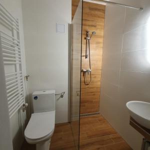 a bathroom with a toilet and a sink and a shower at Ubytovanie FUNSTAR Topoľčany in Topoľčany