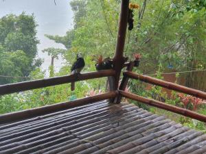 昌岛Littleduck bungalow Koh Chang Ranong的相册照片