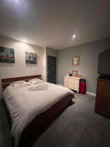 Posteľ alebo postele v izbe v ubytovaní Maison en bois , plein pieds,piscine privative