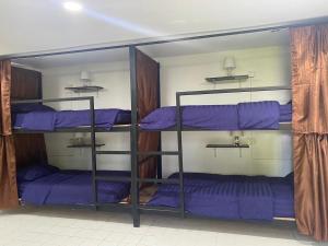 2 stapelbedden in een kamer met paarse kussens bij Pai circus hostel in Pai