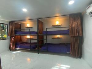 een slaapkamer met 2 stapelbedden met paarse lakens bij Pai circus hostel in Pai