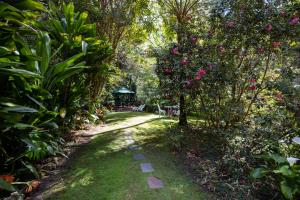 A garden outside Rosella's On Springbrook
