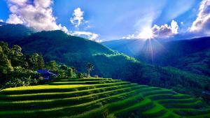 a large green field with the sun on a mountain at Thavill Retreat HaGiang in Ha Giang
