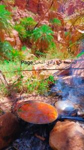 un cuadro de una fogata con una señal en Petra Dad Farm (PDF), en Umm Şawwānah