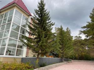 a tree in front of a large building at Hotel Palladium in Shchūchīnsk