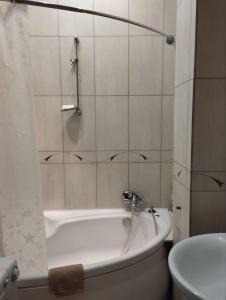 Kúpeľňa v ubytovaní Family Stay in Lviv (2 Rooms + Kitchen)
