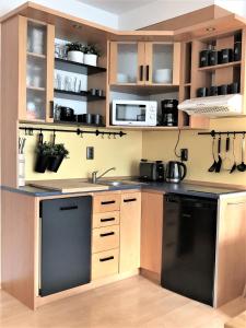 Kuchyňa alebo kuchynka v ubytovaní Apartmán u sklárny