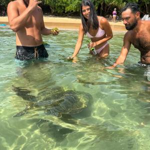 a group of people in the water with a turtle at E Seven House in Dickwella