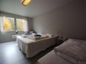 sypialnia z 2 łóżkami i oknem w obiekcie Hallingskarvet Fjellstue as w mieście Hovet