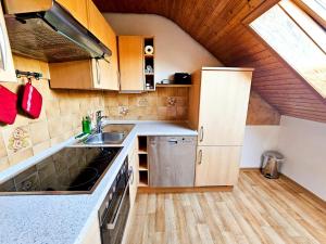 cocina con fregadero y encimera en Cozy Apartment in Klein-Winternheim, en Klein-Winternheim