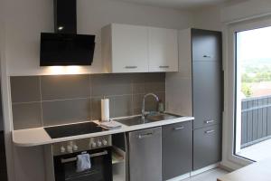 a kitchen with a sink and a stove top oven at Bei Wiesbaden- ganze Suite mit eigenem Bad & Küche - Parkplatz 