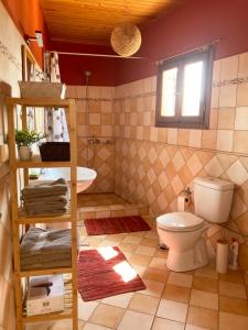 a bathroom with a toilet and a sink at Lemoni House in Pévkoi