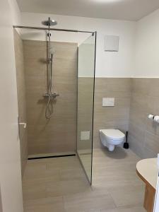 a bathroom with a shower and a toilet at Hotel Lercher in Sankt Veit im Pongau