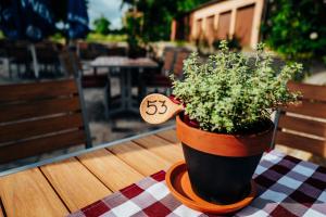 Fotografie z fotogalerie ubytování Gasthof Linden & Wildkräuterhotel v destinaci Windelsbach