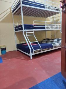 Ce lit se trouve dans un dortoir doté de 2 lits superposés et d'un sol rouge. dans l'établissement Honey Palace Homestay, à Madikeri