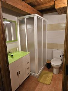 a bathroom with a toilet and a green sink at El Nido, Casa Rural in Casas del Castañar
