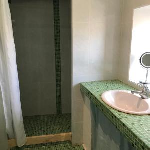 uma casa de banho com um lavatório e um chuveiro em Villa Baptiste Spa Sauna Billard Piano ping-pong Piscine près de Bordeaux em Cérons
