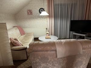 a living room with a couch and a tv at Fewo Klingelhöfer in Willingen