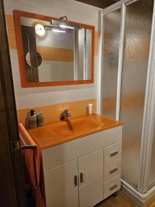 a bathroom with a sink and a shower at El Nido, Casa Rural in Casas del Castañar