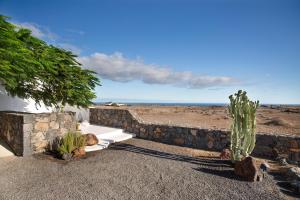 a cactus sitting next to a stone wall next to the ocean at Apartamento La Higuera in Arrecife