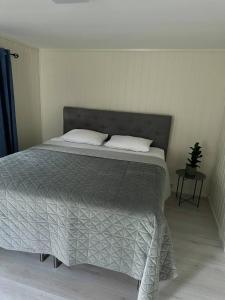 1 dormitorio con 1 cama grande y 2 almohadas en Hareidsvegen 145, 
