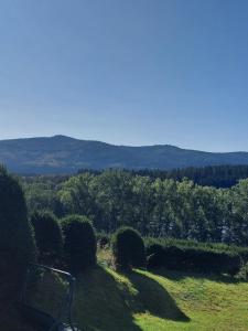 Fotografie z fotogalerie ubytování Vila Lipno v destinaci Horní Planá